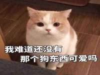 山西星韵汇生物科技有限公司