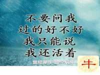 山西星韵汇生物科技有限公司