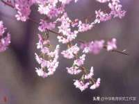 山西星韵汇生物科技有限公司