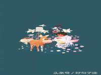 山西星韵汇生物科技有限公司