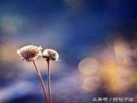 山西星韵汇生物科技有限公司