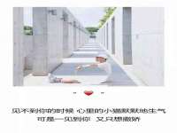 山西星韵汇生物科技有限公司