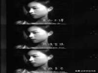 山西星韵汇生物科技有限公司