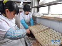 山西星韵汇生物科技有限公司