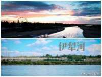 山西星韵汇生物科技有限公司