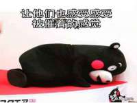 山西星韵汇生物科技有限公司
