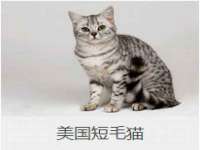 山西星韵汇生物科技有限公司