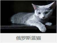 山西星韵汇生物科技有限公司