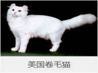 山西星韵汇生物科技有限公司