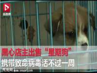 山西星韵汇生物科技有限公司