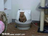 山西星韵汇生物科技有限公司