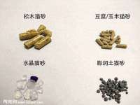 山西星韵汇生物科技有限公司