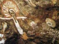 山西星韵汇生物科技有限公司