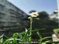 山西星韵汇生物科技有限公司