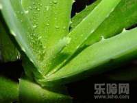 山西星韵汇生物科技有限公司