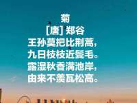 山西星韵汇生物科技有限公司