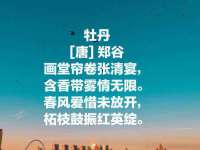 山西星韵汇生物科技有限公司