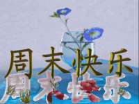 山西星韵汇生物科技有限公司