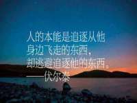 山西星韵汇生物科技有限公司