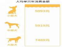 山西星韵汇生物科技有限公司