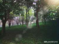 山西星韵汇生物科技有限公司