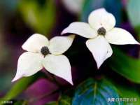 山西星韵汇生物科技有限公司