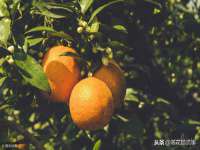 山西星韵汇生物科技有限公司