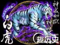 山西星韵汇生物科技有限公司