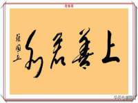 山西星韵汇生物科技有限公司