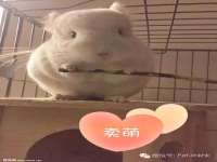 山西星韵汇生物科技有限公司