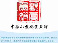 山西星韵汇生物科技有限公司