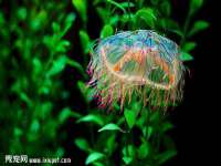 山西星韵汇生物科技有限公司