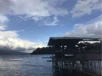 山西星韵汇生物科技有限公司
