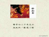 山西星韵汇生物科技有限公司