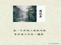 山西星韵汇生物科技有限公司