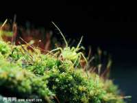 山西星韵汇生物科技有限公司
