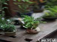 山西星韵汇生物科技有限公司
