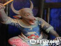 山西星韵汇生物科技有限公司