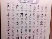 山西星韵汇生物科技有限公司