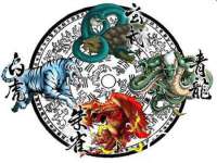 山西星韵汇生物科技有限公司