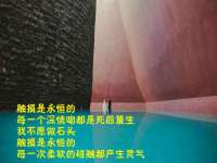 山西星韵汇生物科技有限公司