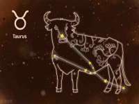 山西星韵汇生物科技有限公司