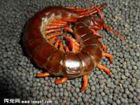 山西星韵汇生物科技有限公司