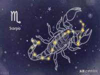 山西星韵汇生物科技有限公司