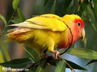山西星韵汇生物科技有限公司