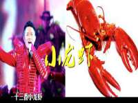 山西星韵汇生物科技有限公司