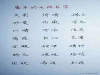 山西星韵汇生物科技有限公司