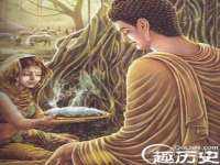 山西星韵汇生物科技有限公司